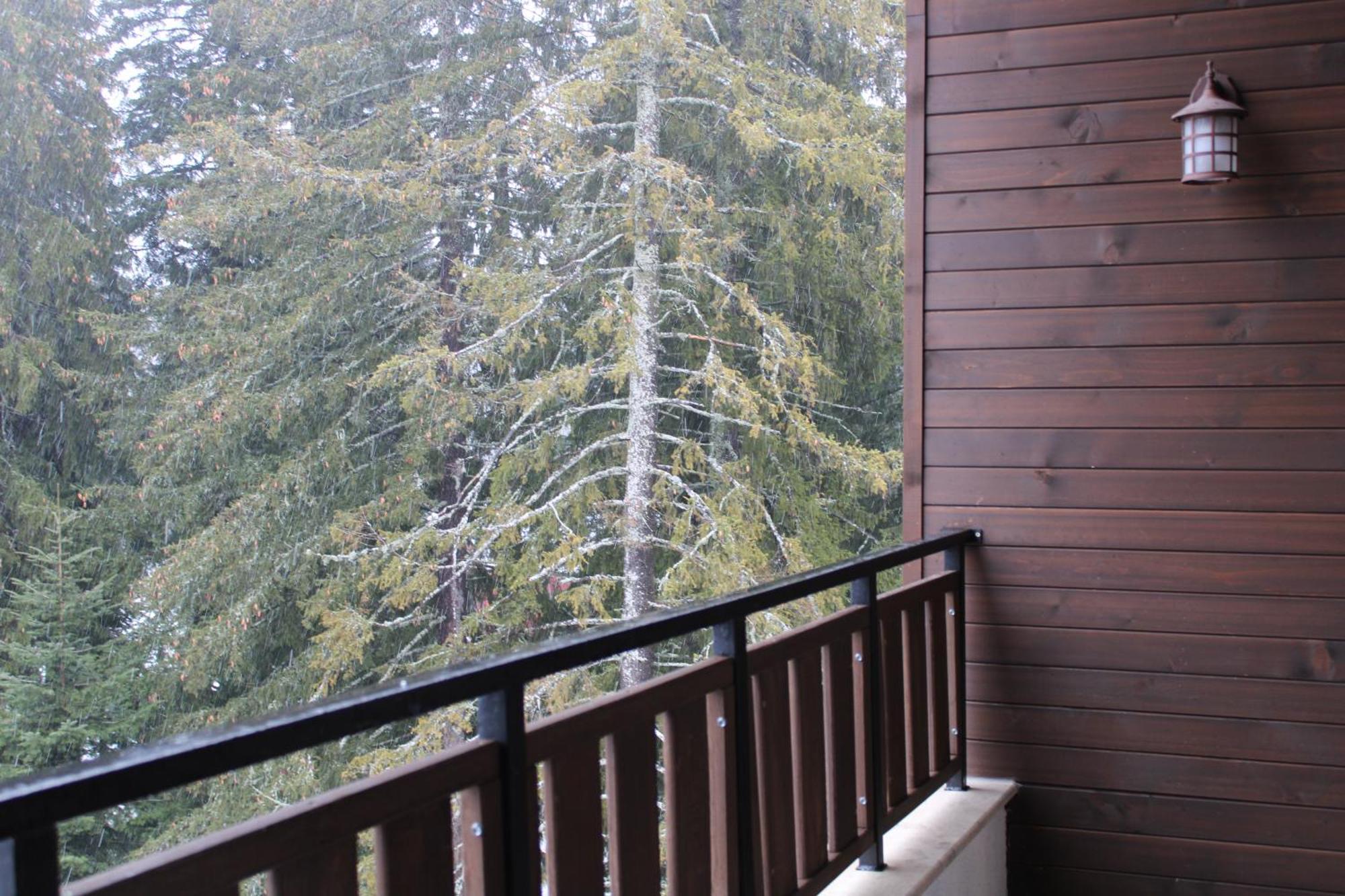 Mountain Studio Asp E63 Borovets Gardens Екстериор снимка