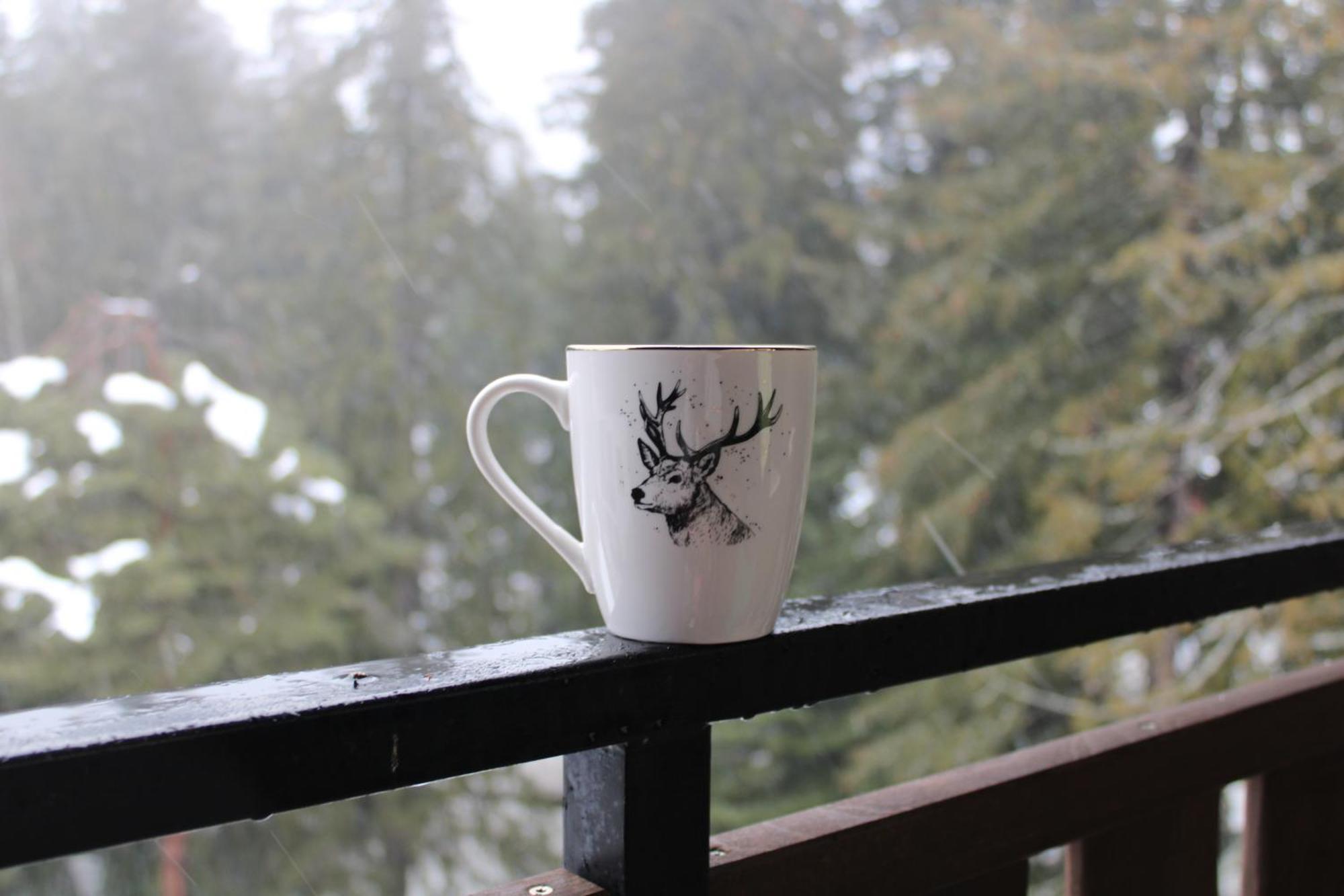 Mountain Studio Asp E63 Borovets Gardens Екстериор снимка