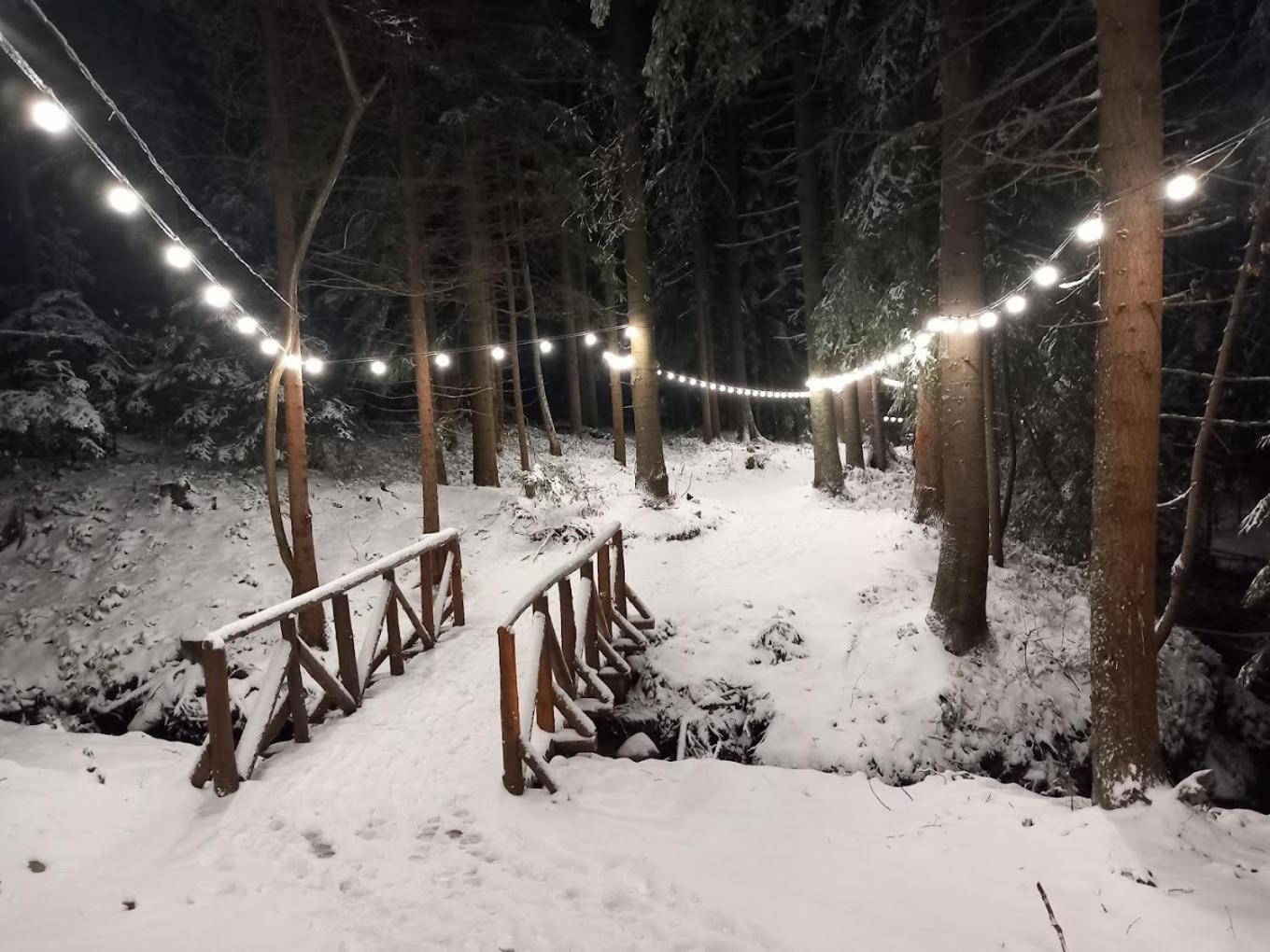 Mountain Studio Asp E63 Borovets Gardens Екстериор снимка